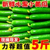 主图