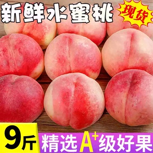 9斤大桃子正宗水蜜桃