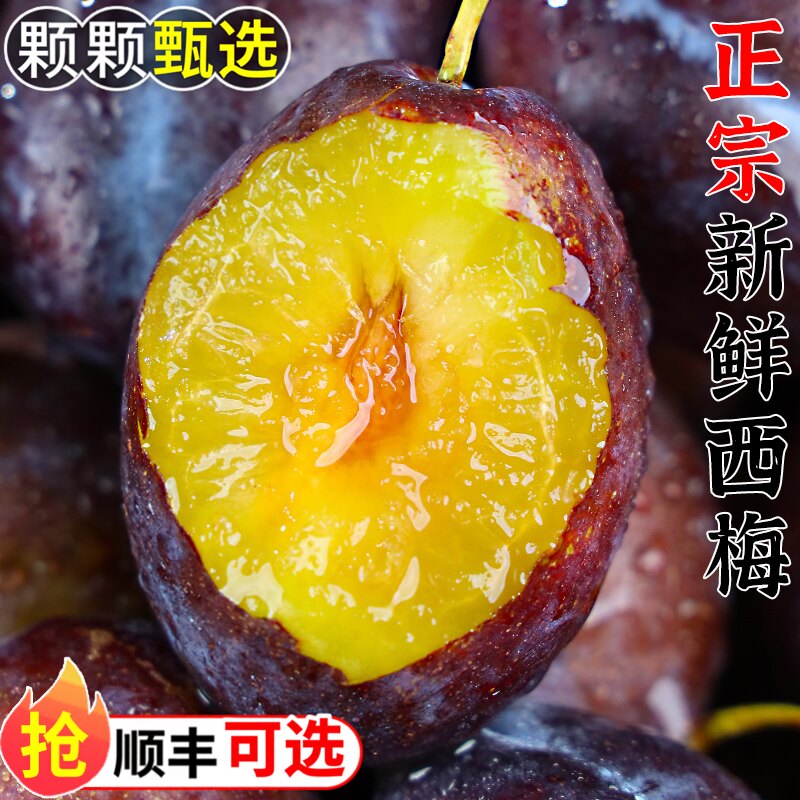 新鲜西梅！肉厚多汁现摘现发