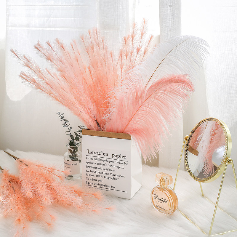 LIVETAI干花diy材料客厅餐桌插花花艺摆拍道具树枝树干装饰摆件,家居饰品,DIY仿真材料,淘宝优惠券,粉丝福利购,淘宝优惠卷