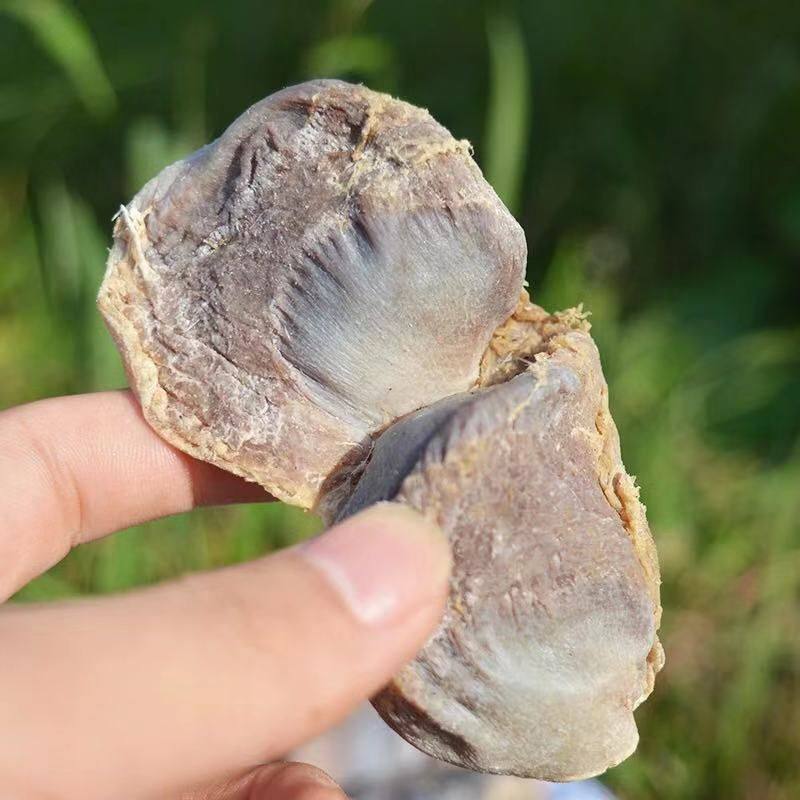 江西赣南风干腊鸭胗鸭肾咸鸭肫