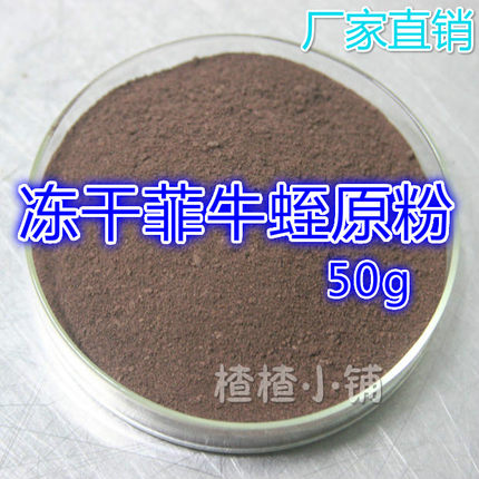 菲牛蛭冻干粉 水蛭粉金边吸血蚂蝗原粉纯粉 50g高活性600ATU