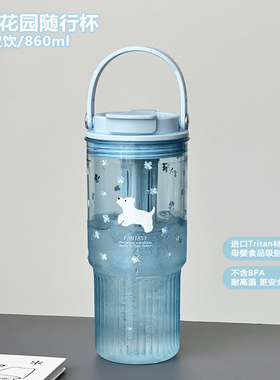 浮想吸管杯大容量水杯女生高颜值便携塑料杯子随行杯夏季外带新款