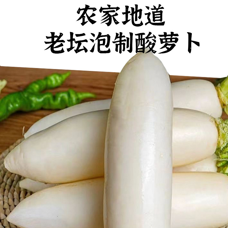 大桶装酸萝卜餐饮商业泡萝卜酸脆爽口农家下饭泡椒腌制泡菜开胃