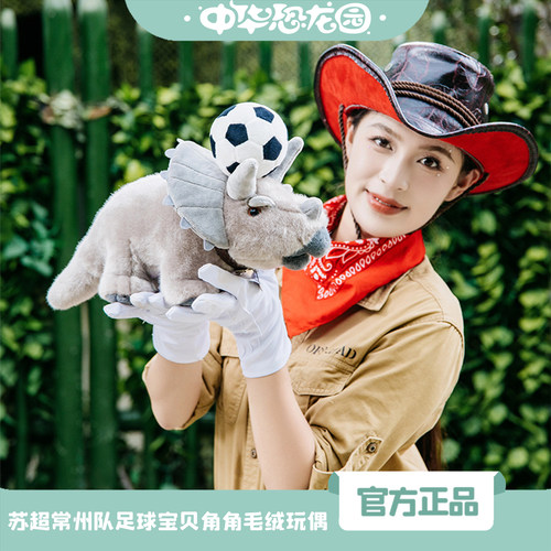 中华恐龙园苏超常州队角角