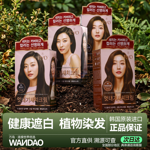 韩国吕染发剂植物遮盖白发