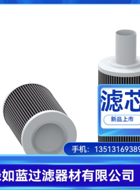 Rexroth力士乐R928046231 21.30 G200-S00-4-M滤芯