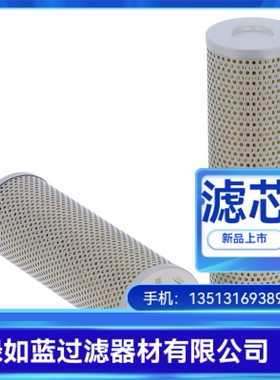 LEEMIN黎明厂家直销HDX-100X10压力管路过滤器滤芯