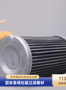 EPE D-68775 Ketsch 2.0004 G25-A00-0-V过滤器油滤芯