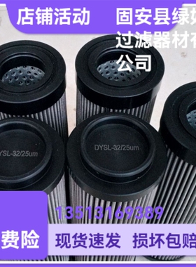 稀油站滤油器DYSL-32/25um油滤芯