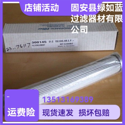 EATON伊顿厂家直销300145 01.E150.6VG.HR.E.P-6VG油过滤器滤芯