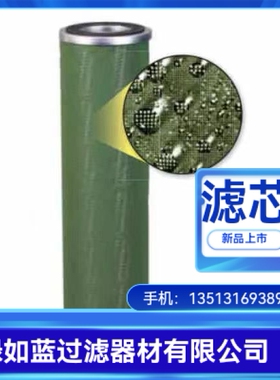 Facet 厂家直销ST430FB-5油水分离器滤芯