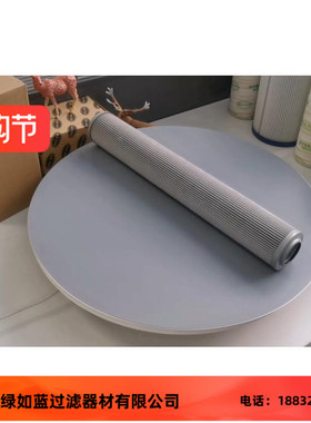 EATON伊顿厂家直销300256 01.E450.10VG.HR.E.P-10VG滤芯