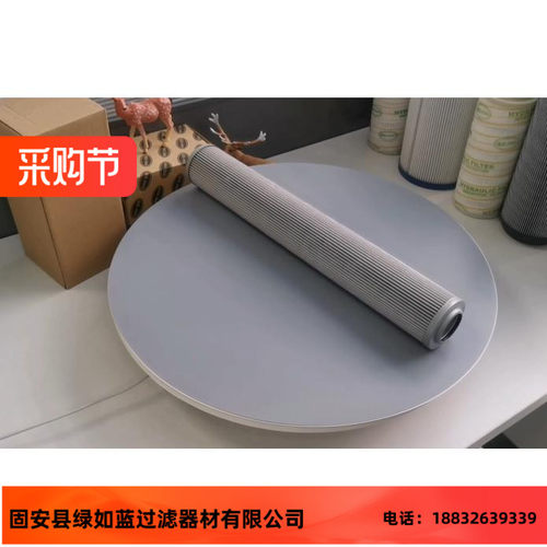 EATON伊顿厂家直销300256 01.E450.10VG.HR.E.P-10VG滤芯