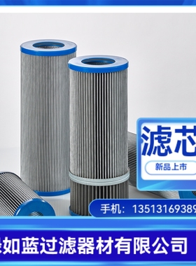 EATON伊顿厂家直销300598 01.E60.10VG.30.E.P.V.10VG滤芯