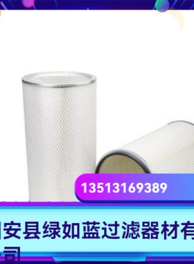 Fleetguard 弗列加厂家直销 AF880空气过滤器滤芯