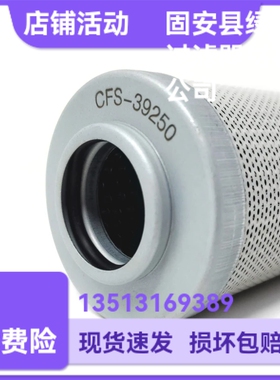 Rexroth力士乐R928039250 1.0012 P25-A00-5-M液压油滤芯