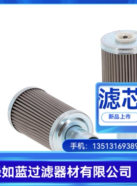 Rexroth力士乐R928046255 21.E30 G10-S00-0-M滤芯