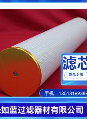 Facet厂家直销SS633FB-5油水分离器滤芯