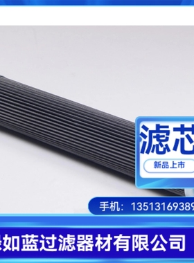 Rexroth力士乐厂家直销R928008215 2.0018 H10XL-BH0-0-V滤芯