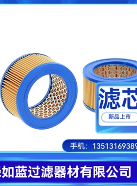 EPE D-68775 Ketsch 7.004 P10-S00-0-0空气过滤器滤芯