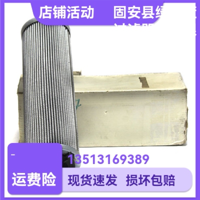 EPE D-68775 Ketsch 17.210 H20SL-G00-5-P液压油过滤器滤芯