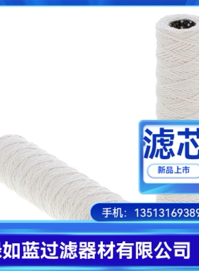 SMC厂家直销EH23R10GV气体过滤器滤芯