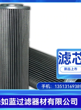 Rexroth力士乐R928006981 2.0630 H20XL-B00-0-M滤芯