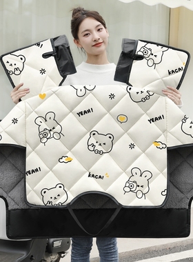 dm6挡风电动车挡风被冬季DE8SDE3DQ6DT5M5DM2S加厚防寒-黑色