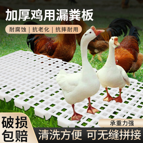 养鸡用漏粪板家禽加厚塑料漏粪网