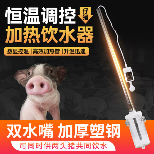 仔猪小猪母猪产床自动加热饮水器
