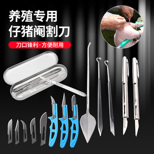 兽用阉猪刀笔式阉割刀小猪手术刀柳叶桃型不锈钢敲猪煽猪去势工具