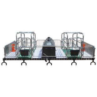 母猪产床产保一体两用保育床分娩双体产床猪产床老母猪用定位栏