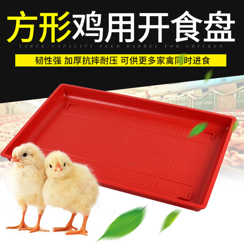 开食盘鸡用喂食盘小鸡饲料养鸡