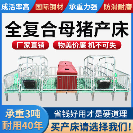 母猪产床设备保育两用限位栏漏粪板猪用猪分娩床仔猪栏养猪场设备