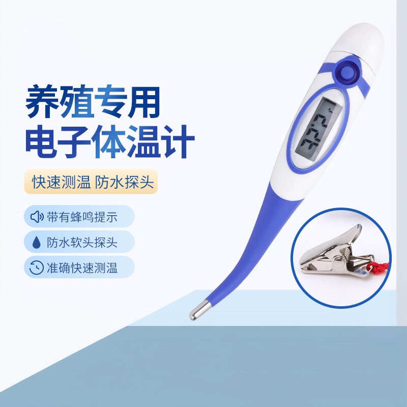 耐尔尼兽用电子体温用测温仪猫咪