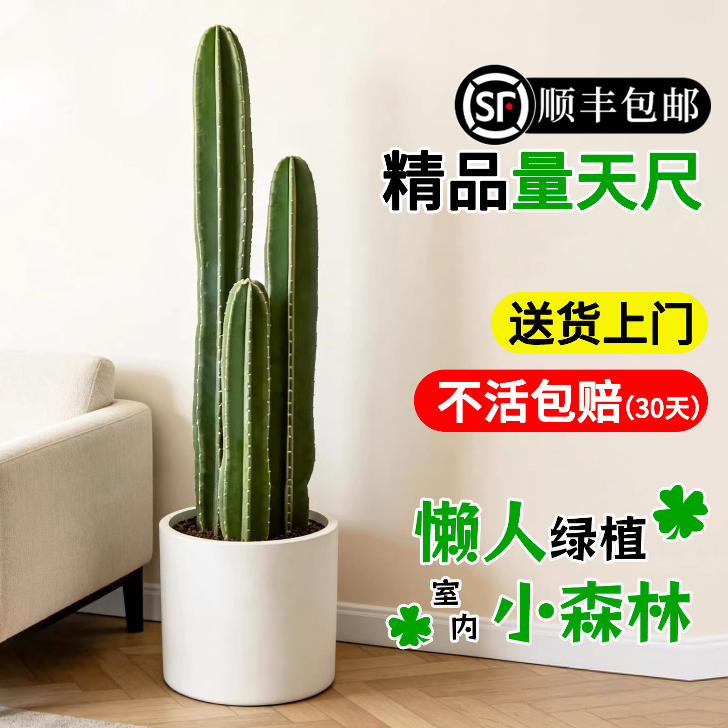 送货上门 量天尺仙人柱绿植盆栽仙人掌大型植物室内落地多肉禄植