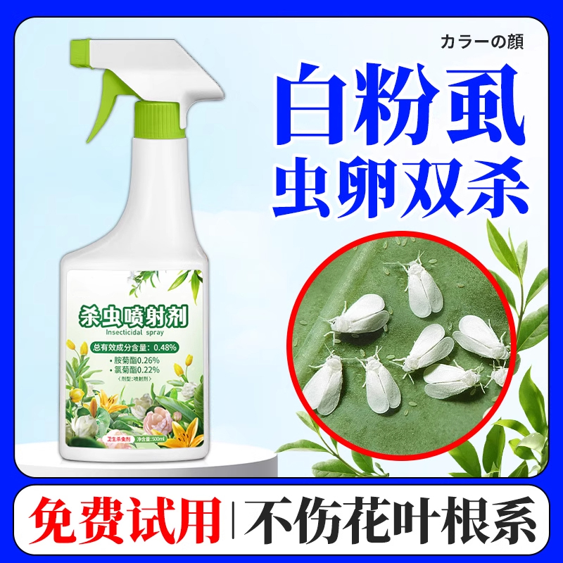 白粉虱杀虫药专用花卉植物
