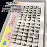 Ленивые ресницы трилогия новички Прививка отдельные кластер сегментированные твердые стебли, солнце