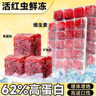 冰冻红虫鱼食赤红线虫六角恐龙鱼饵料鱼料丰年虾卵活虫鲜冻高蛋白