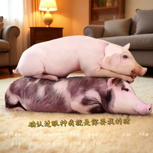 抽象小猪抱枕靠枕猪妞毛绒玩偶搞怪公仔布娃娃女生睡觉抱娃娃礼物