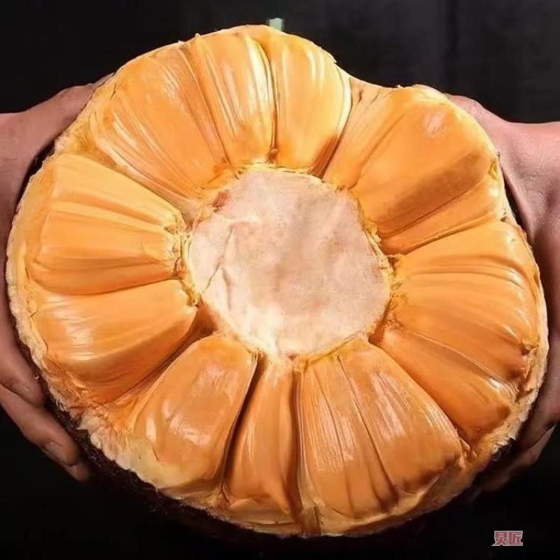 越南进口菠萝蜜干苞脆甜木菠萝新鲜水果包邮一整个,水产肉类/新鲜蔬果/熟食,菠萝蜜,淘宝优惠券,粉丝福利购,淘宝优惠卷