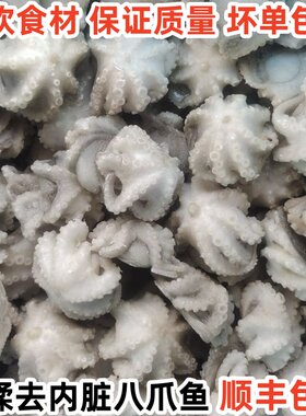 去内脏八爪鱼章鱼捞汁小海鲜食材