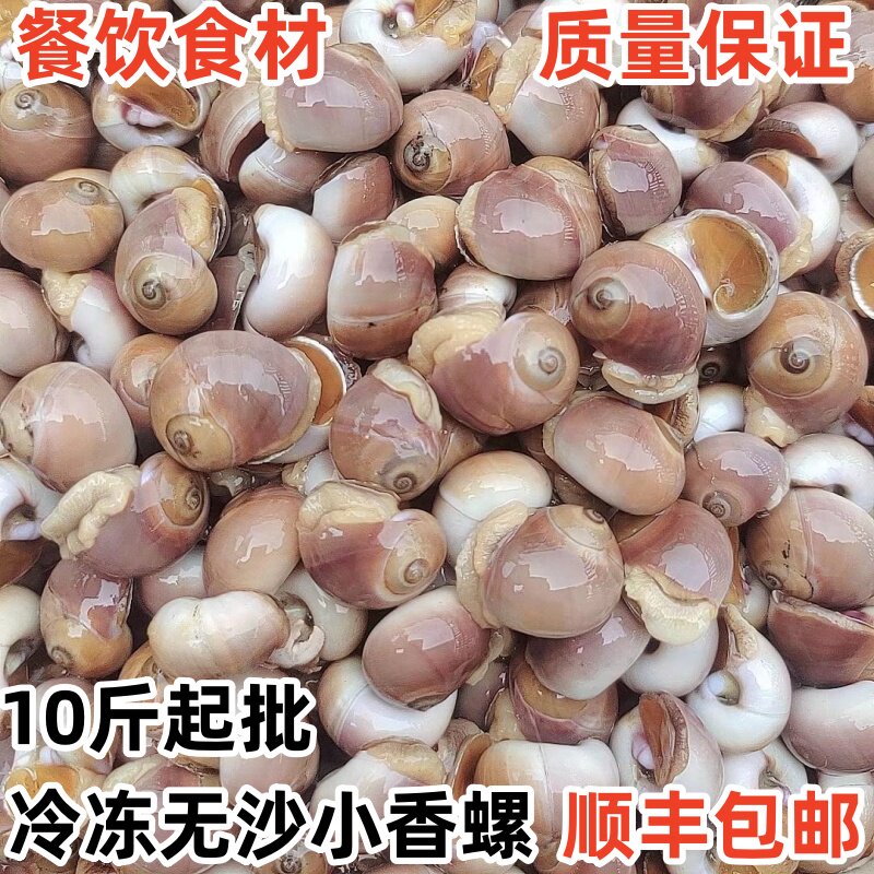 冷冻红香螺新鲜小香螺海捕香螺小猫眼螺玉螺肚脐螺连云港海鲜批发