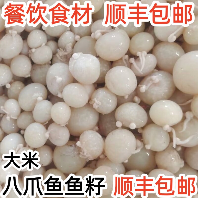 新鲜海鲜八爪鱼籽大米海鲜食材