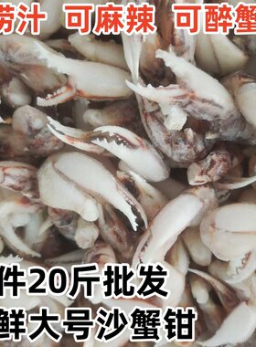 新鲜沙蟹钳蟹钳捞汁海鲜食材包邮