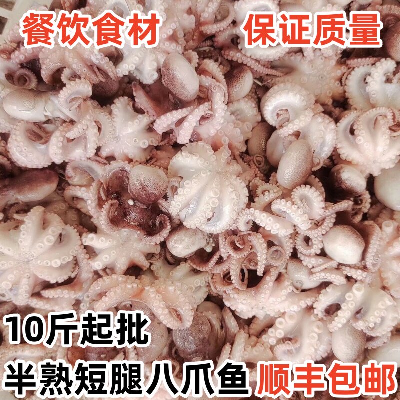 新鲜海鲜熟冻八爪鱼迷你八爪鱼短腿章鱼海捕八爪鱼小鱿鱼餐饮食材