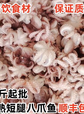 八爪鱼半熟八爪鱼批发包邮
