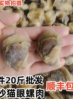 新鲜猫眼螺肉海鲜玉螺肉无沙无冰