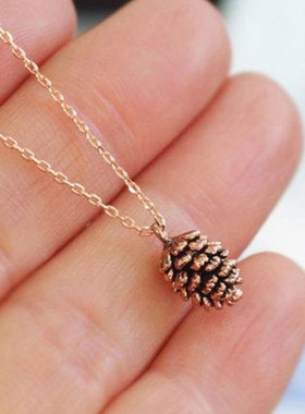 欧美跨境简约时尚松子植物标本项